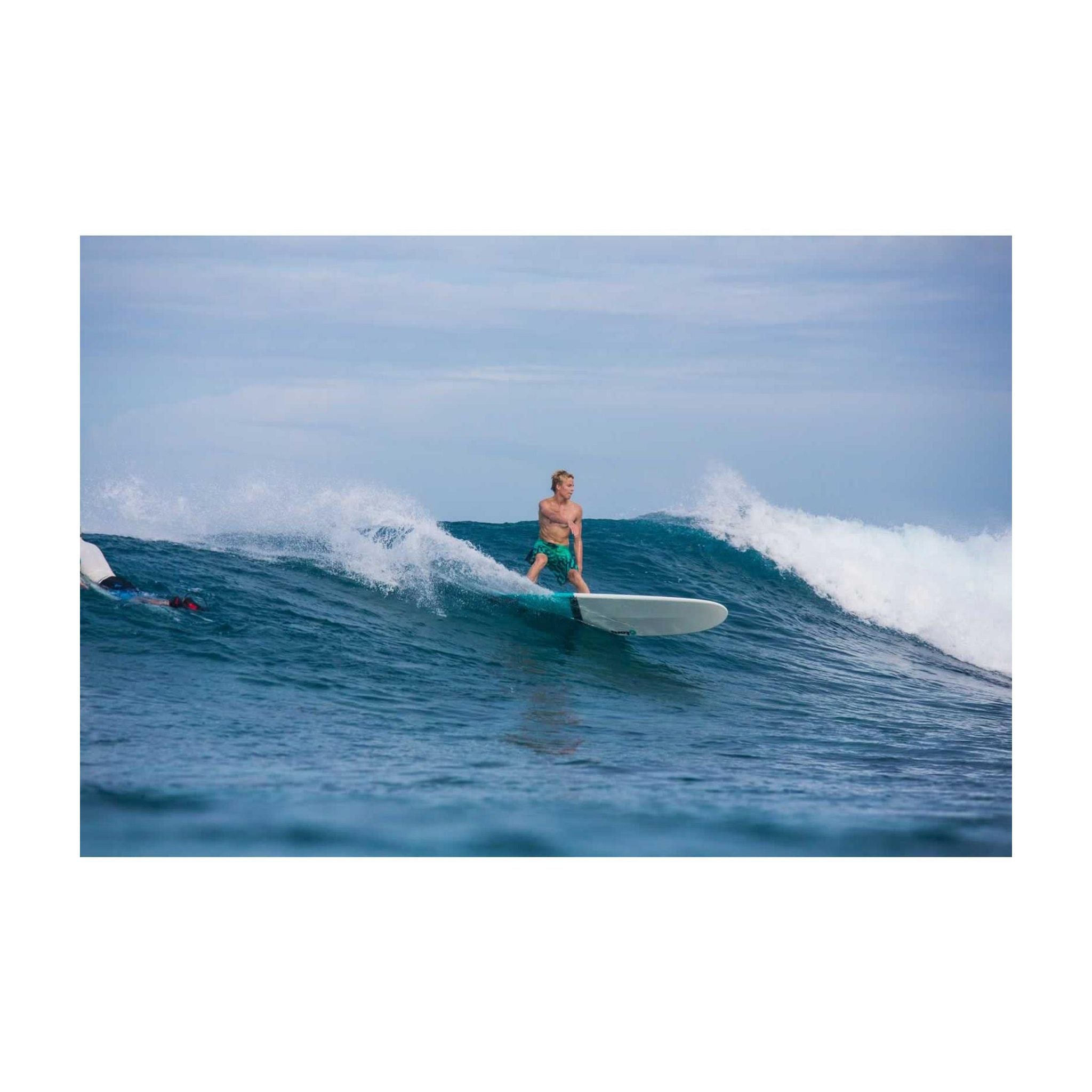Surfboard TORQ TET Longboard Pinline