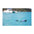 OverBoard waterproof pack sack