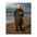 dryrobe advance long-sleeve black, pink, and camo changing robe