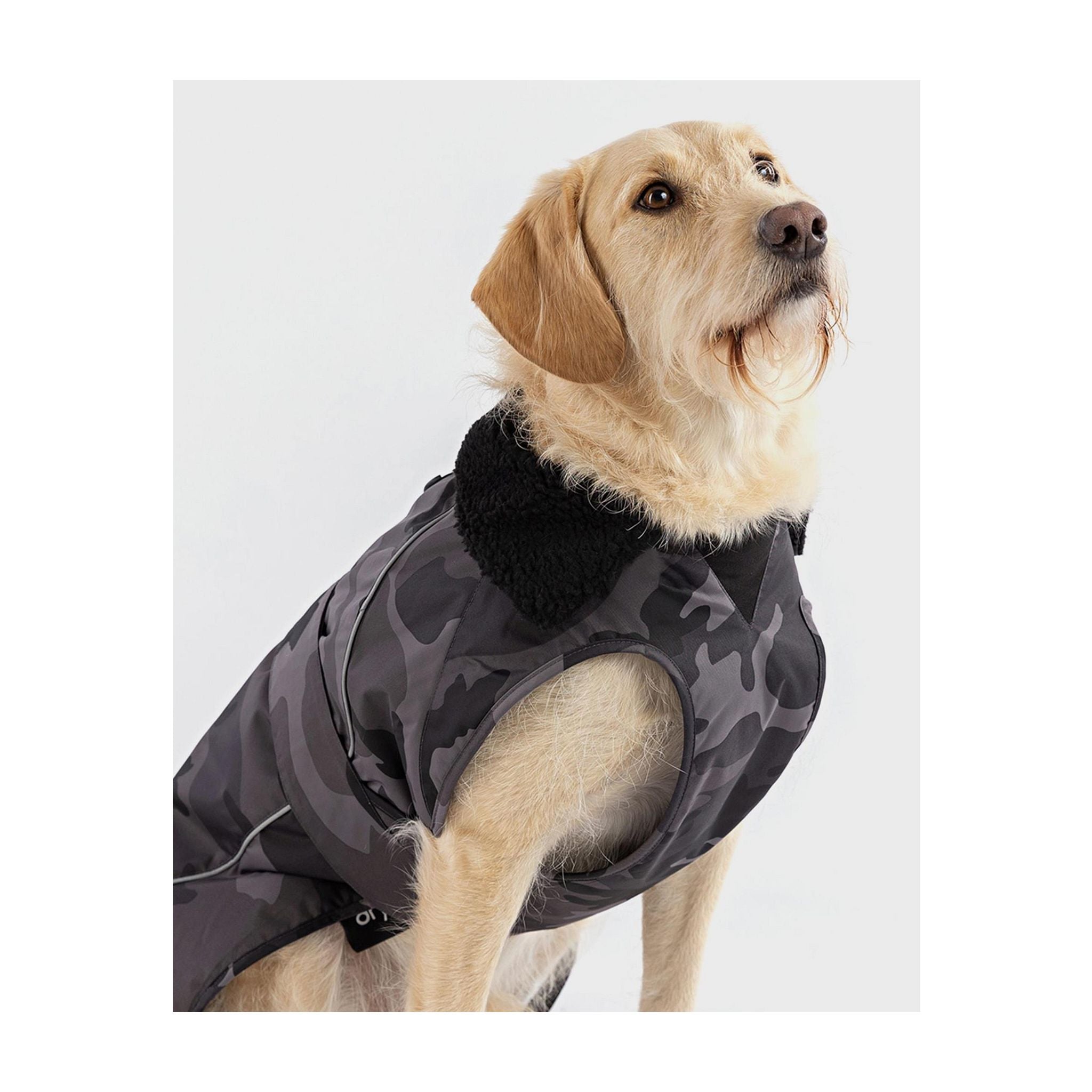 DRYROBE Dog Coat Hundemantel