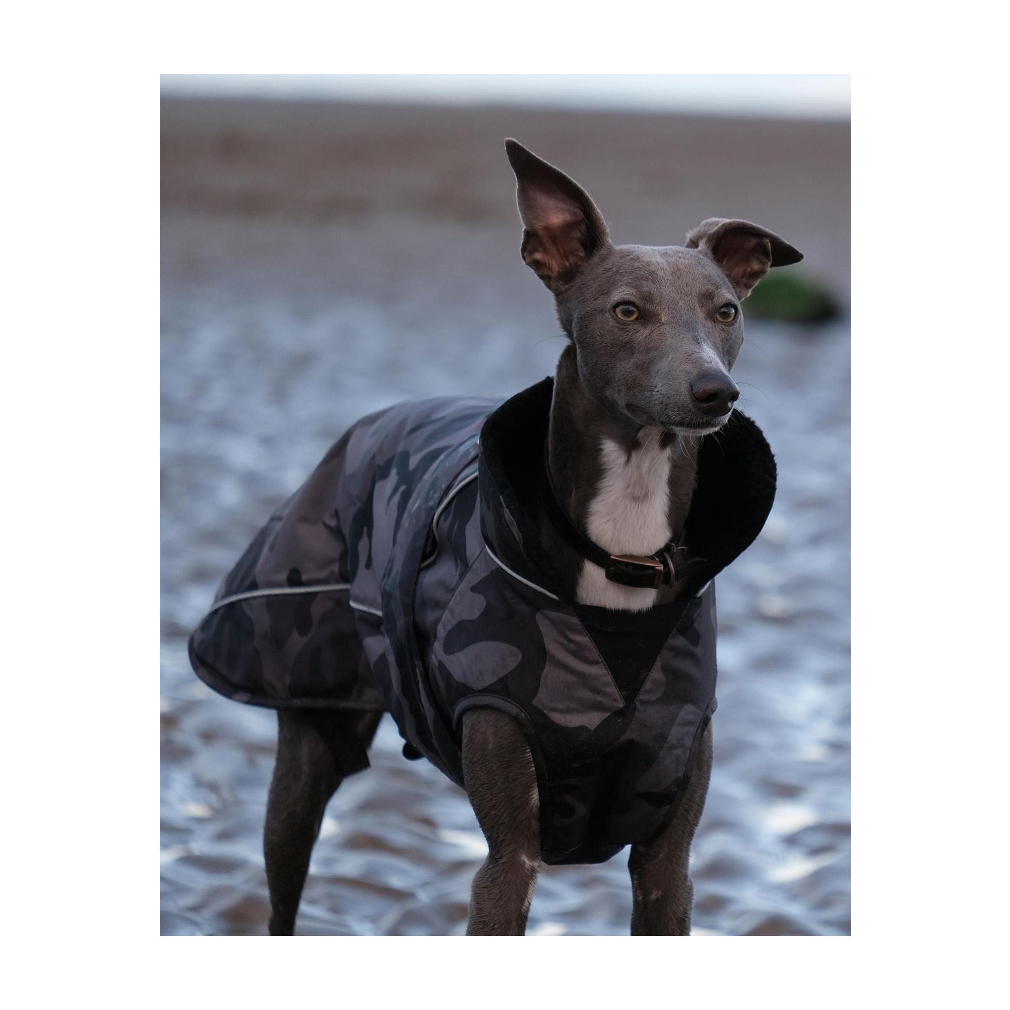 DRYROBE Dog Coat Hundemantel