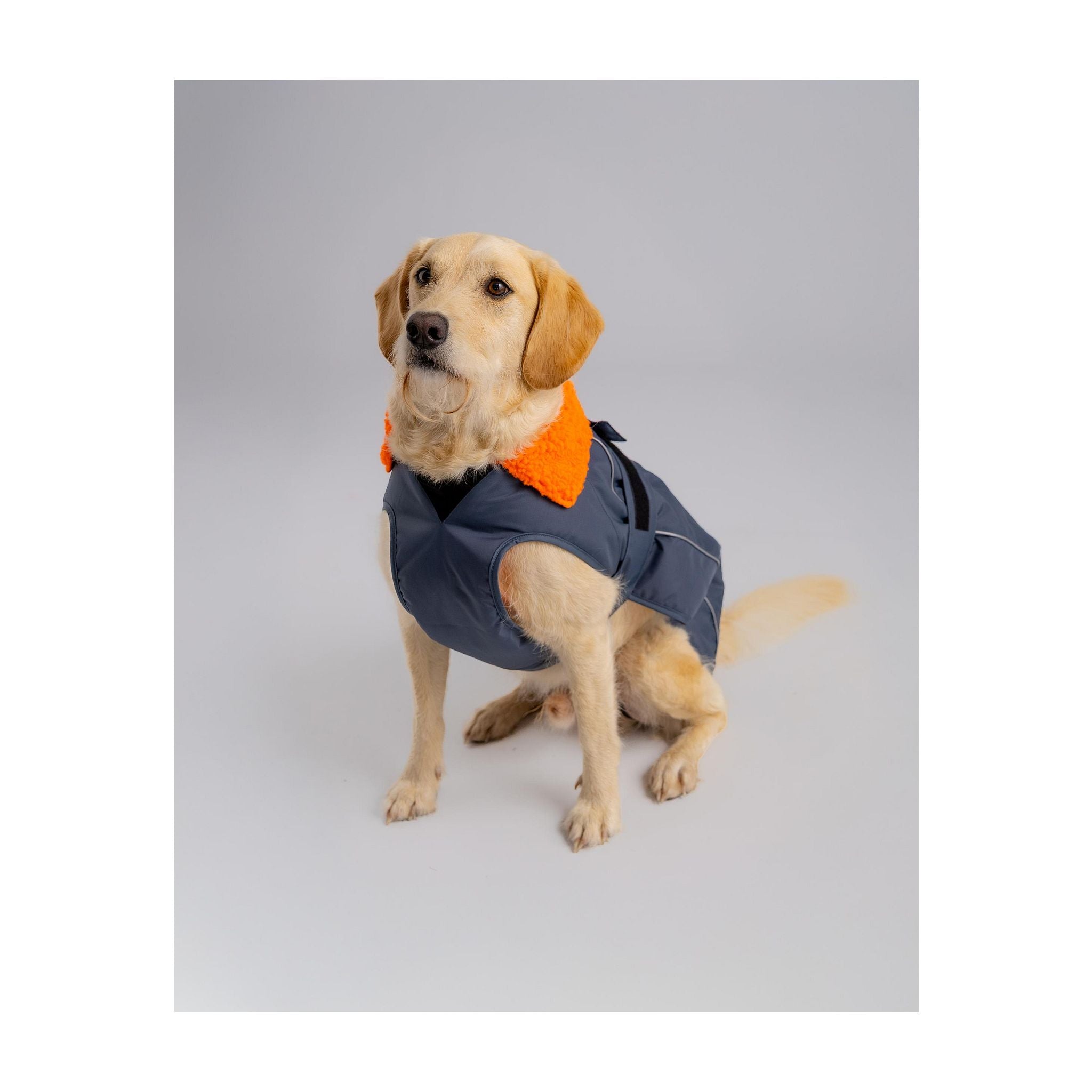 DRYROBE Dog Coat Hundemantel