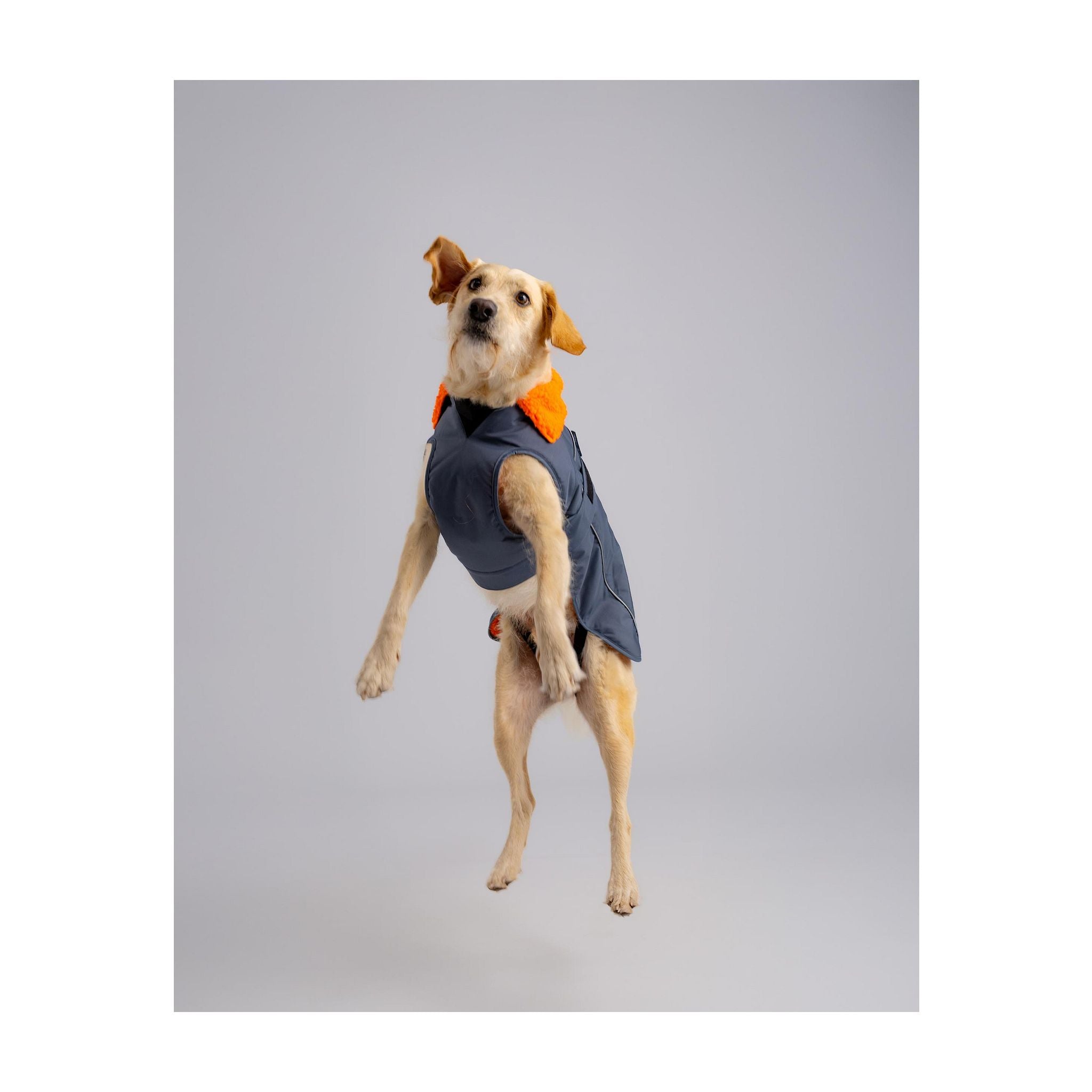 DRYROBE Dog Coat Hundemantel