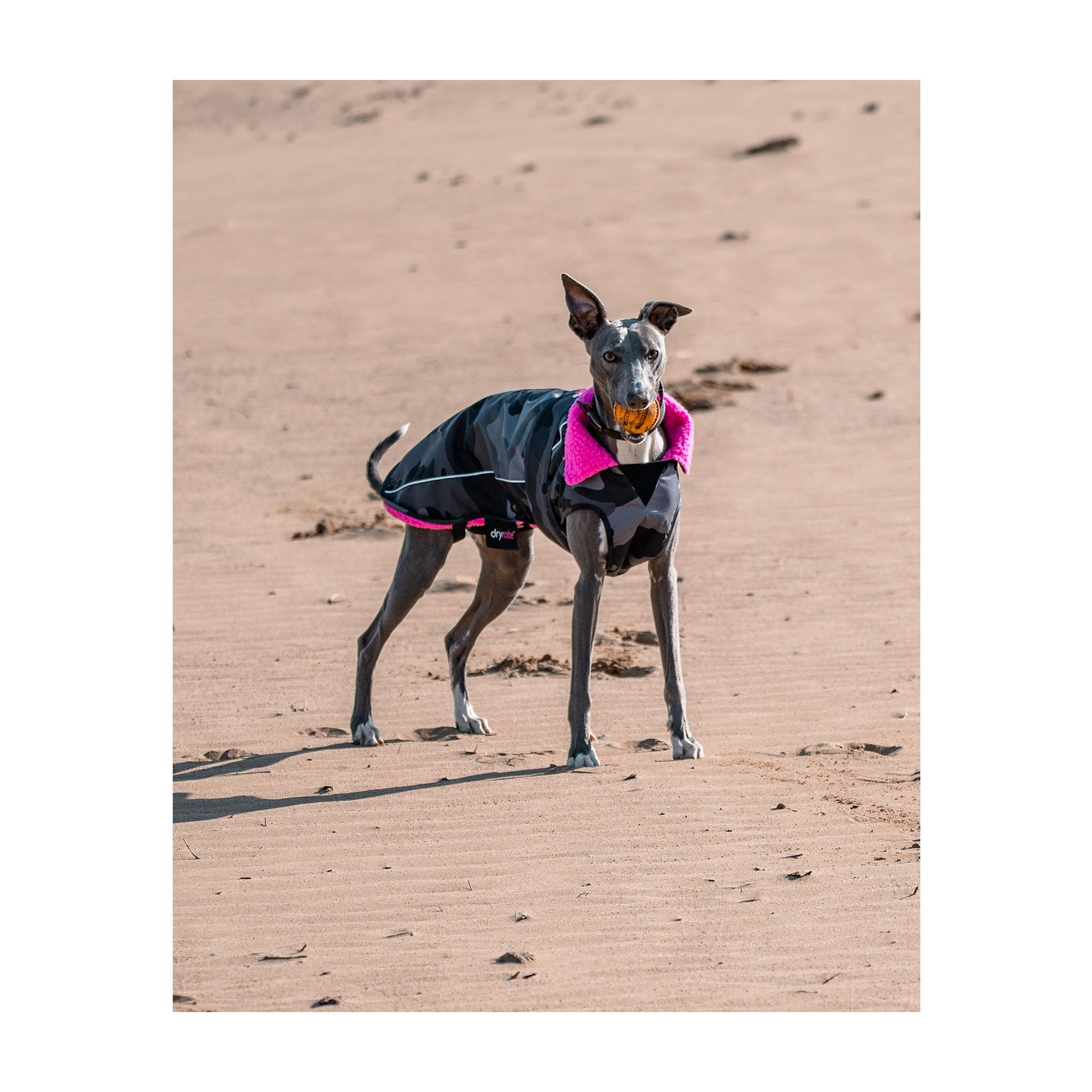 DRYROBE Dog Coat Hundemantel