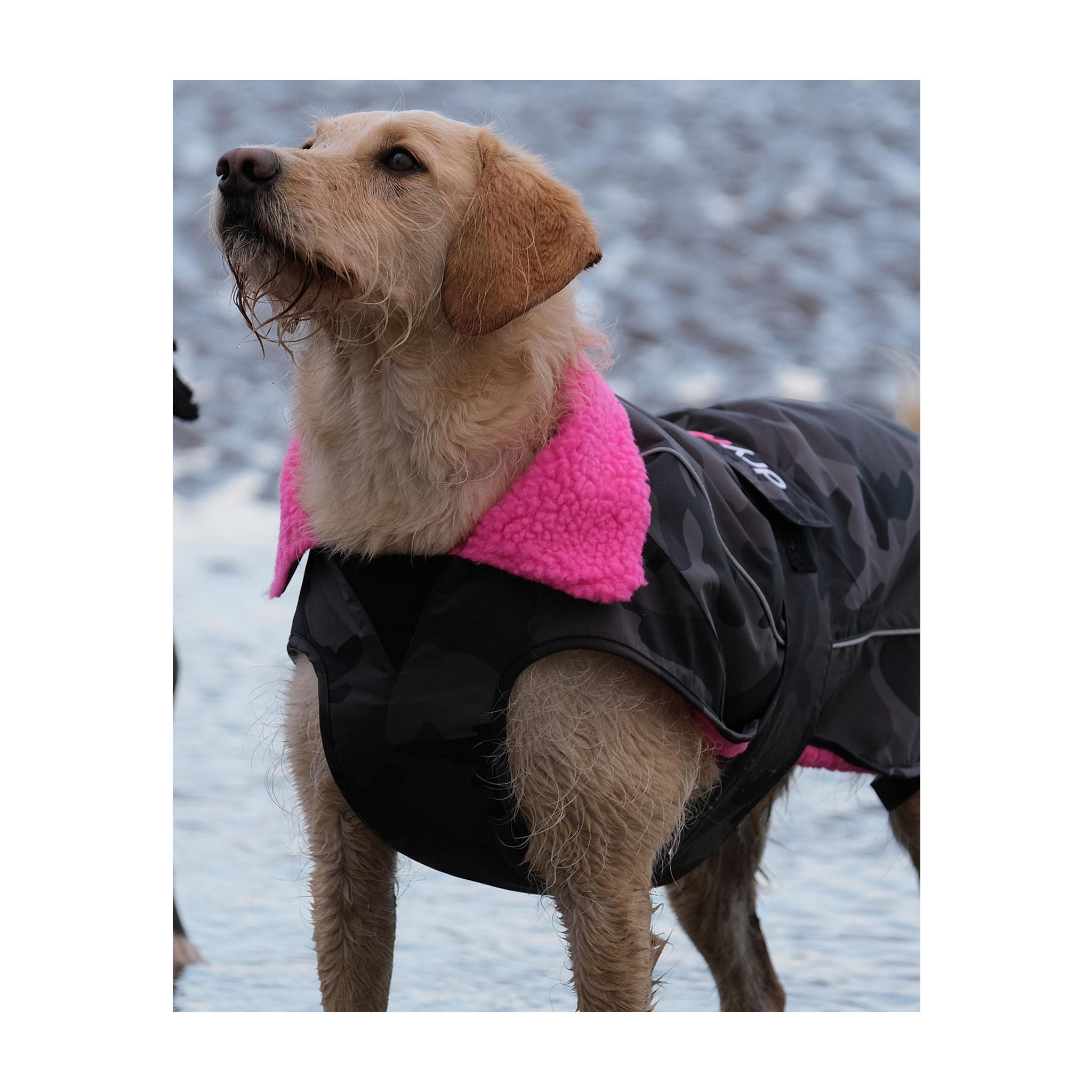 DRYROBE Dog Coat Hundemantel