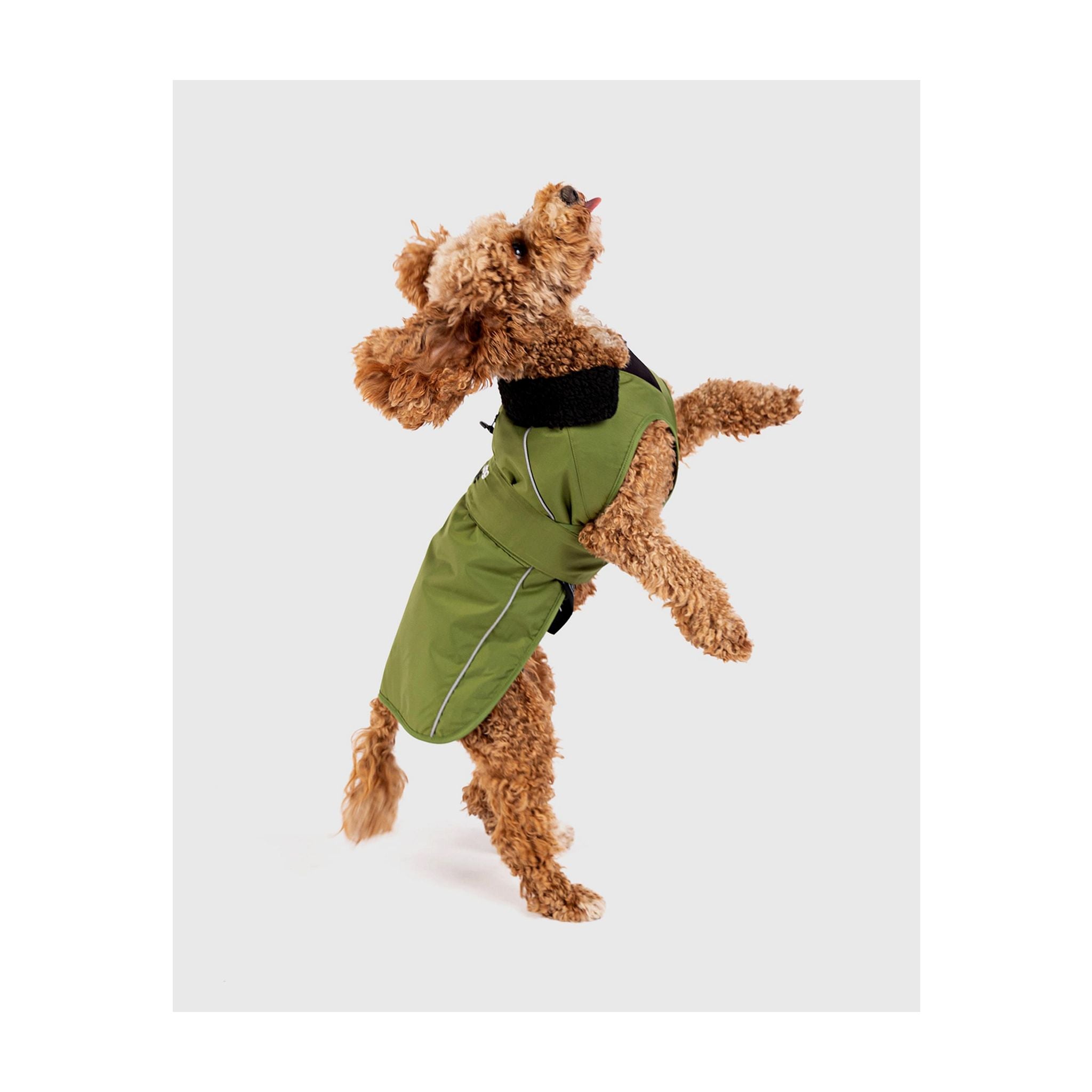DRYROBE Dog Coat Hundemantel