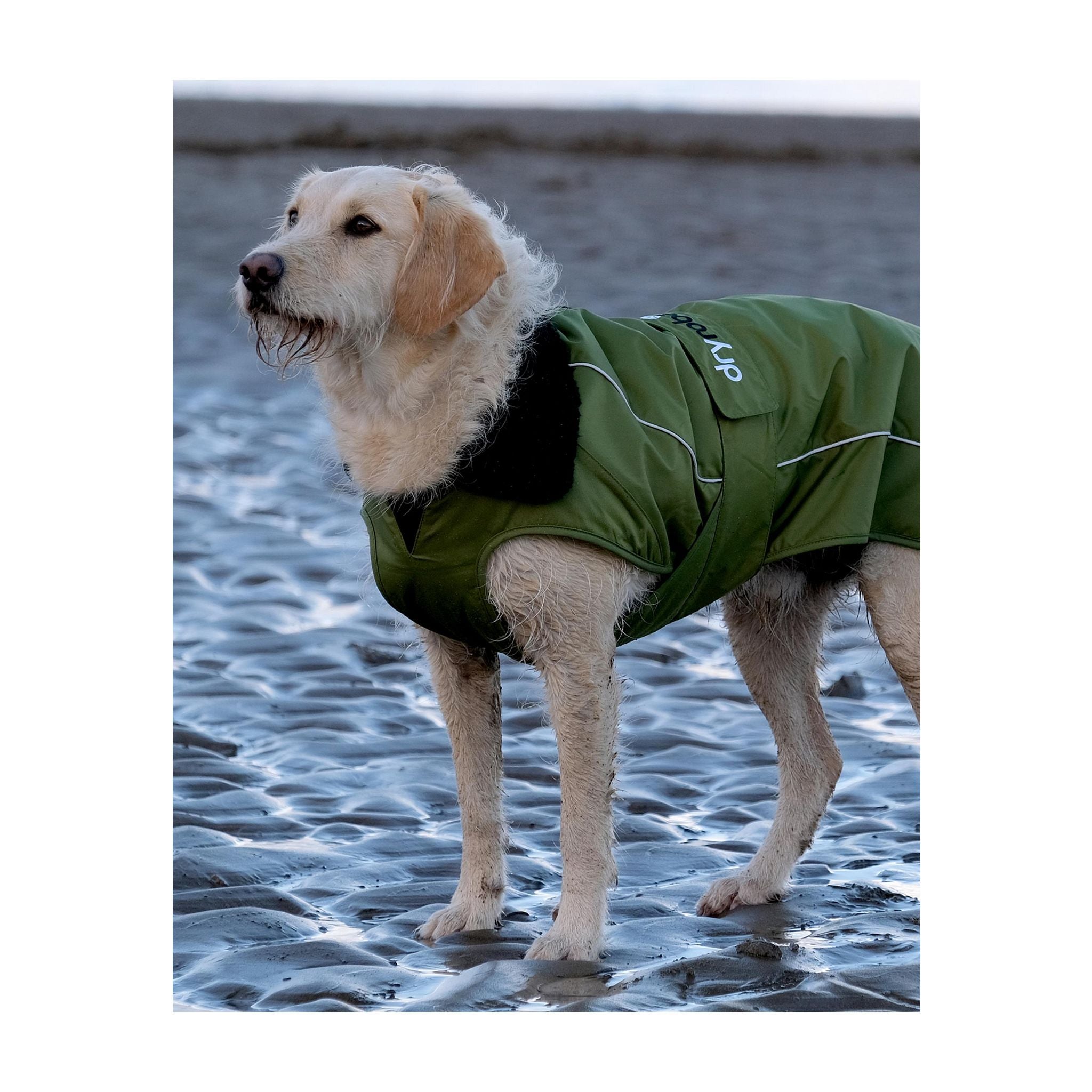 DRYROBE Dog Coat Hundemantel
