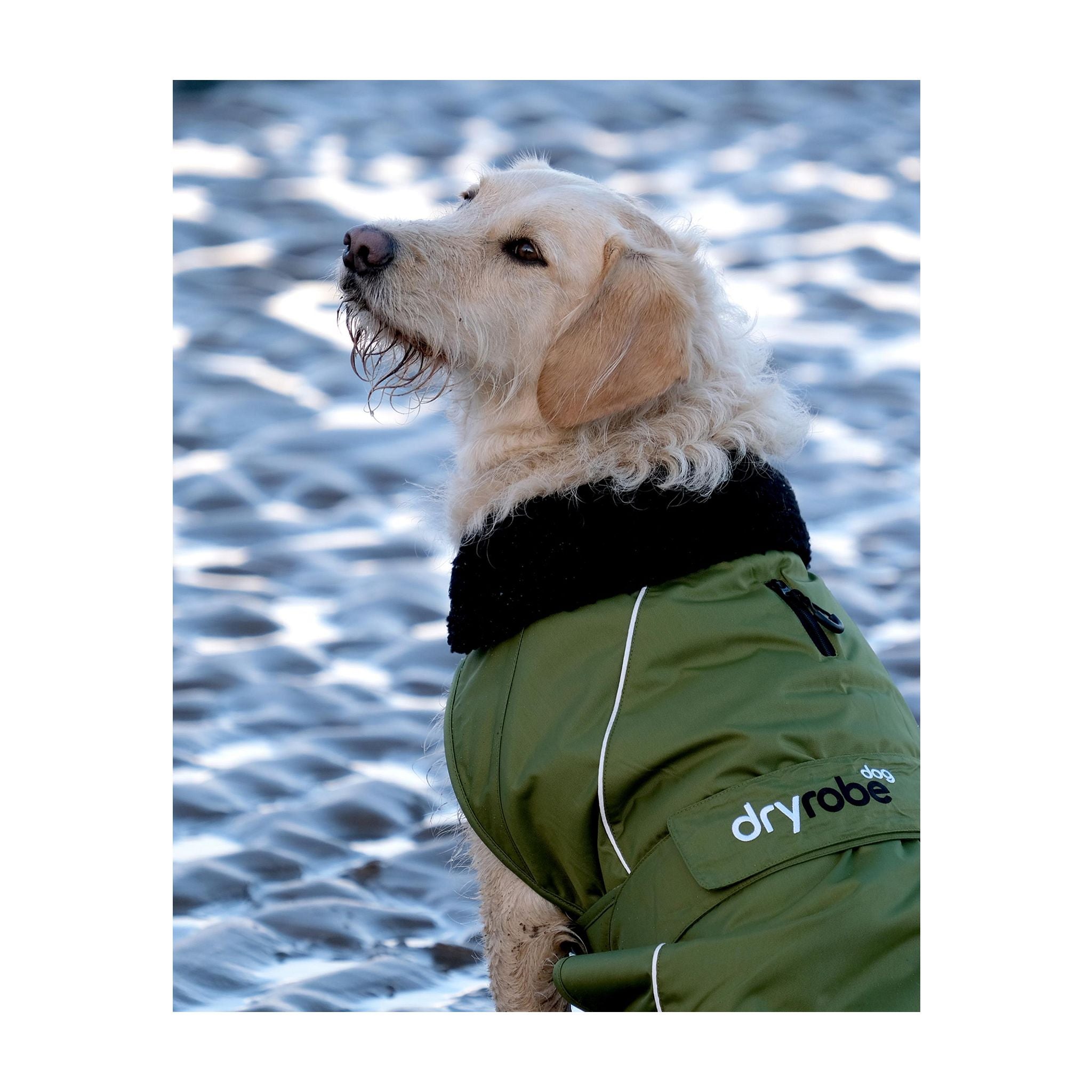 DRYROBE Dog Coat Hundemantel