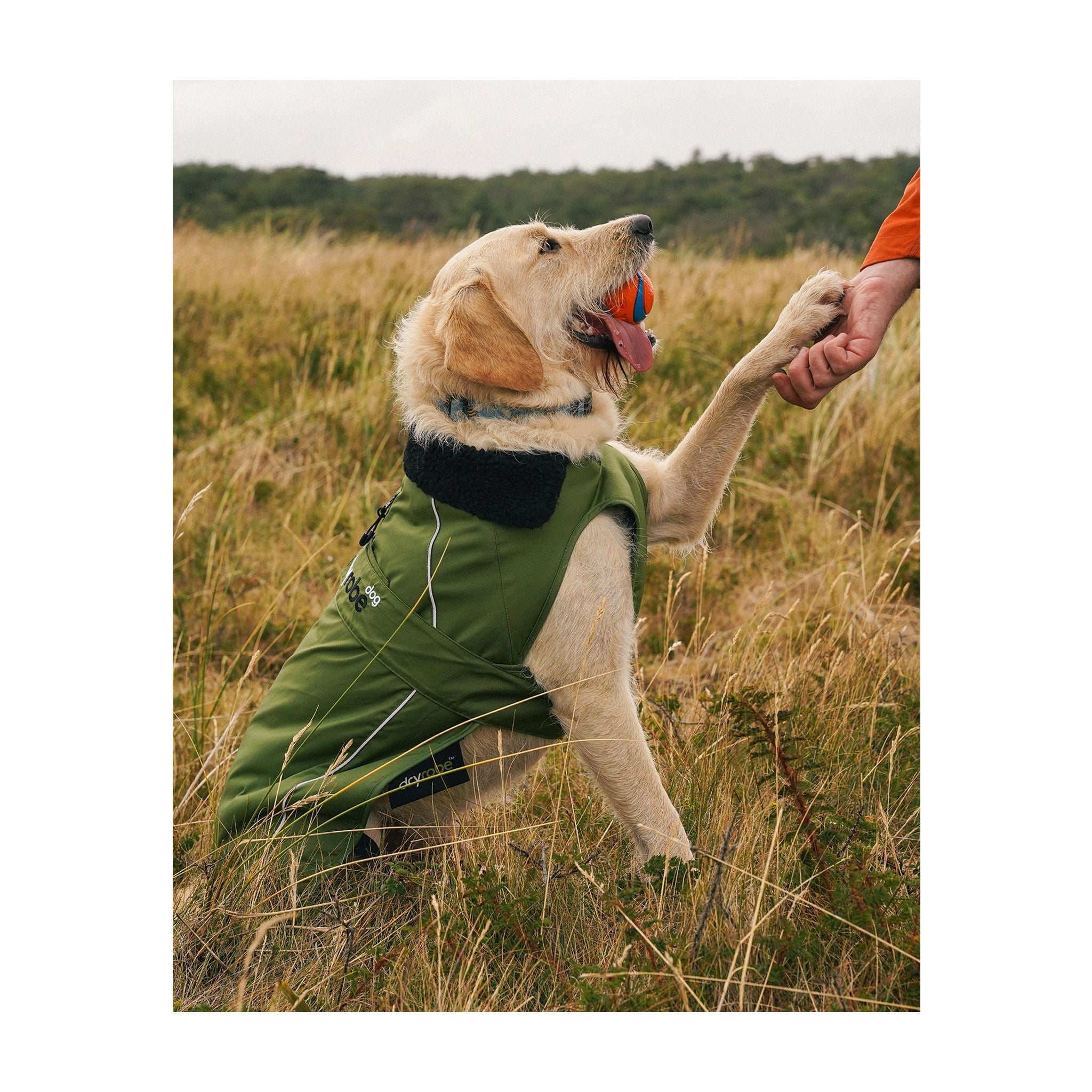 DRYROBE Dog Coat Hundemantel