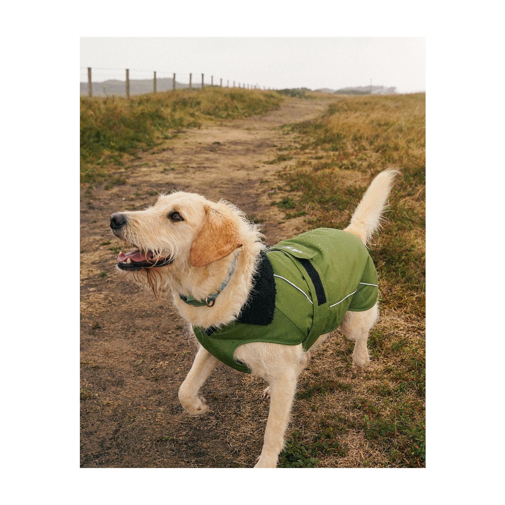 DRYROBE Dog Coat Hundemantel