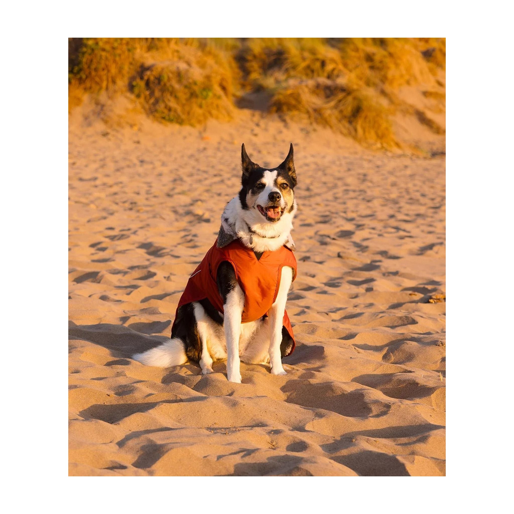 DRYROBE Dog Coat. Burnt Orange. XXL Dogs