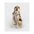 DRYROBE Dog Coat. Sand Camo. XXL Dogs