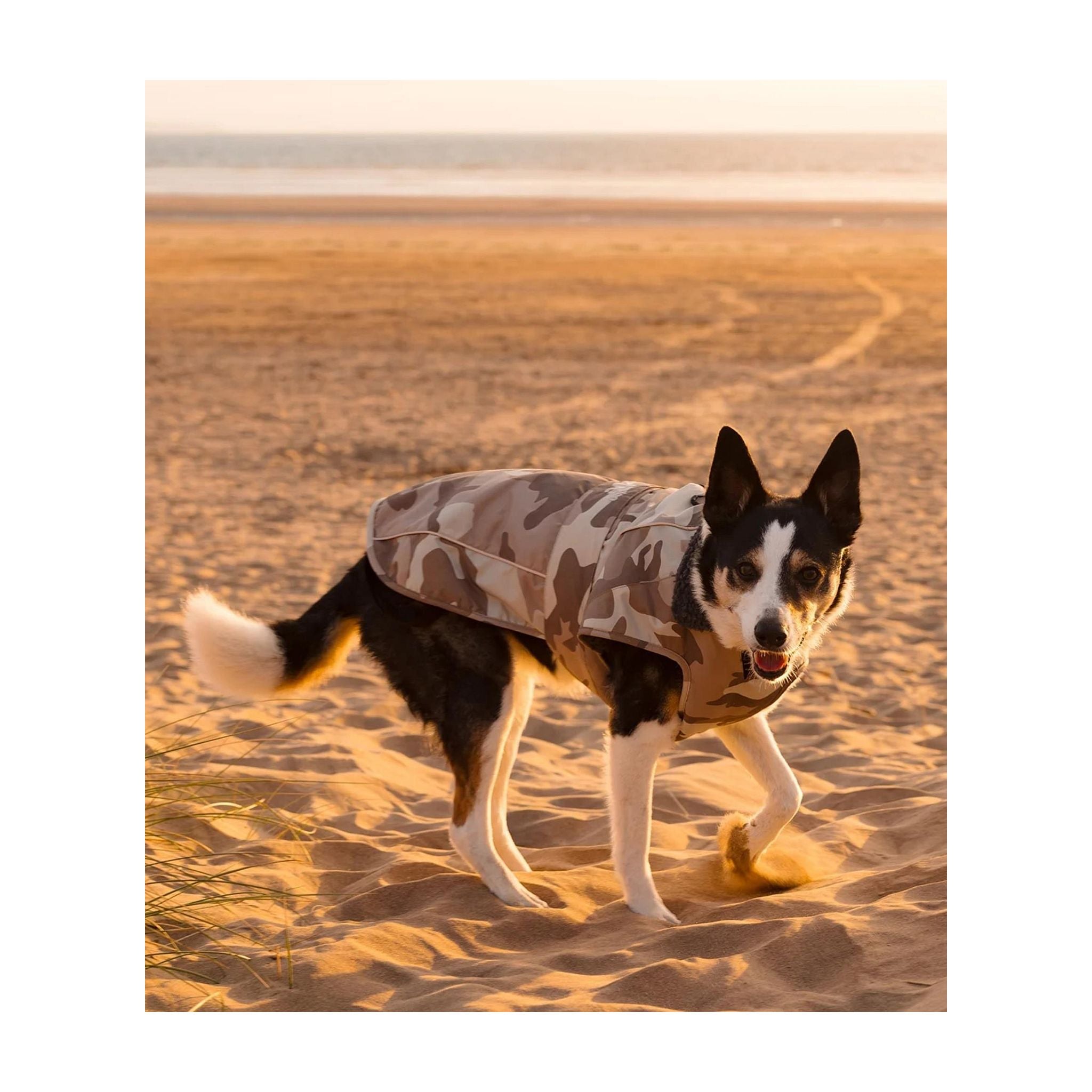 DRYROBE Dog Coat. Sand Camo. XXL Dogs