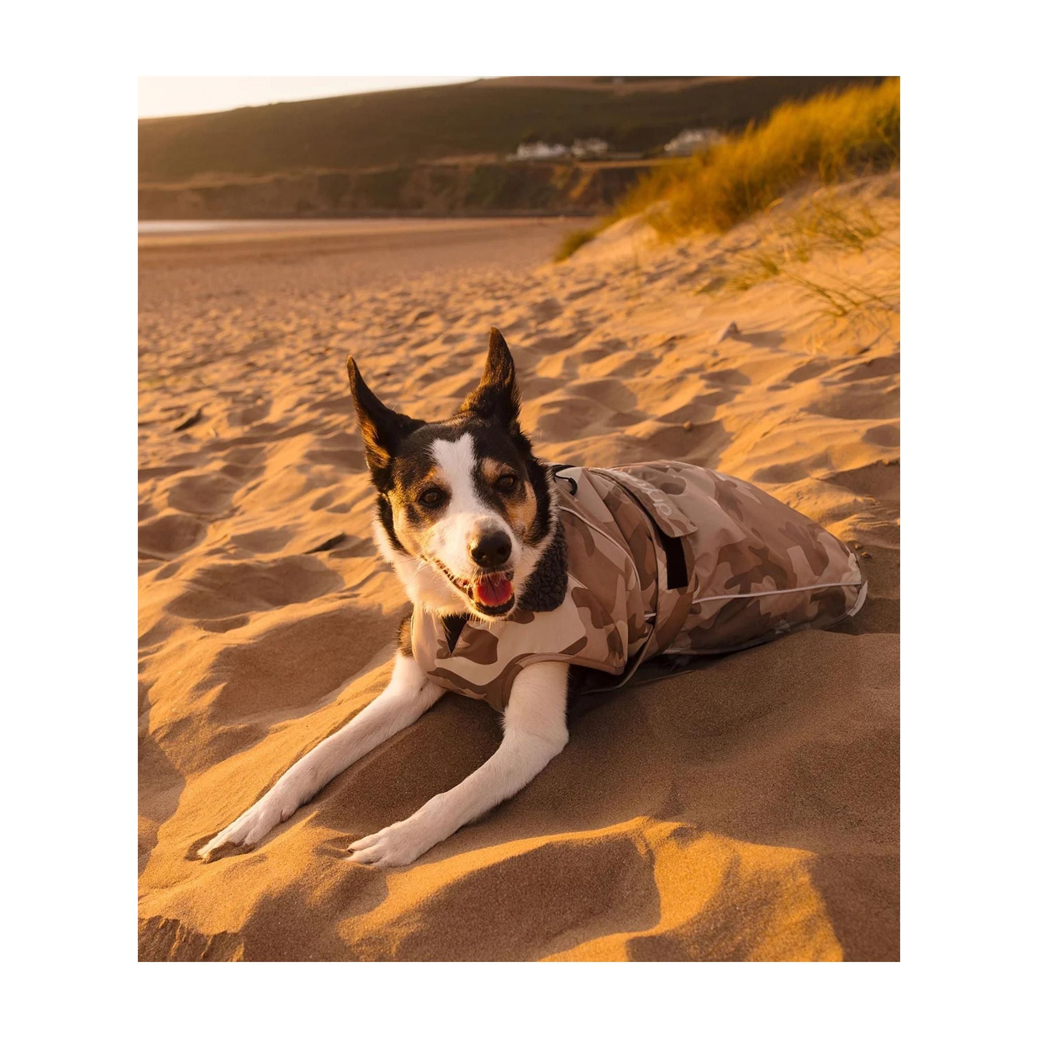 DRYROBE Dog Coat. Sand Camo. XXL Dogs