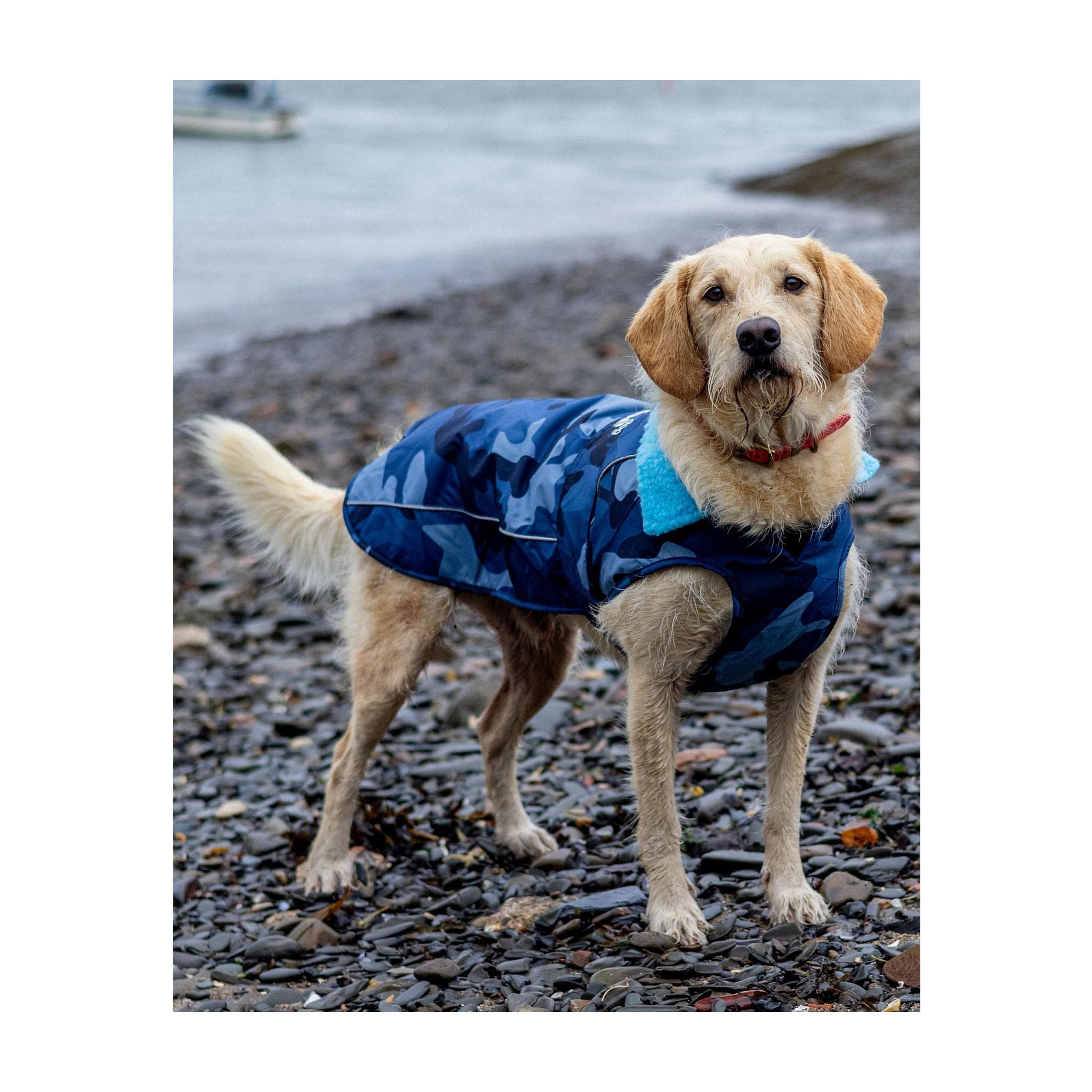 DRYROBE Dog Coat Hundemantel Dogs