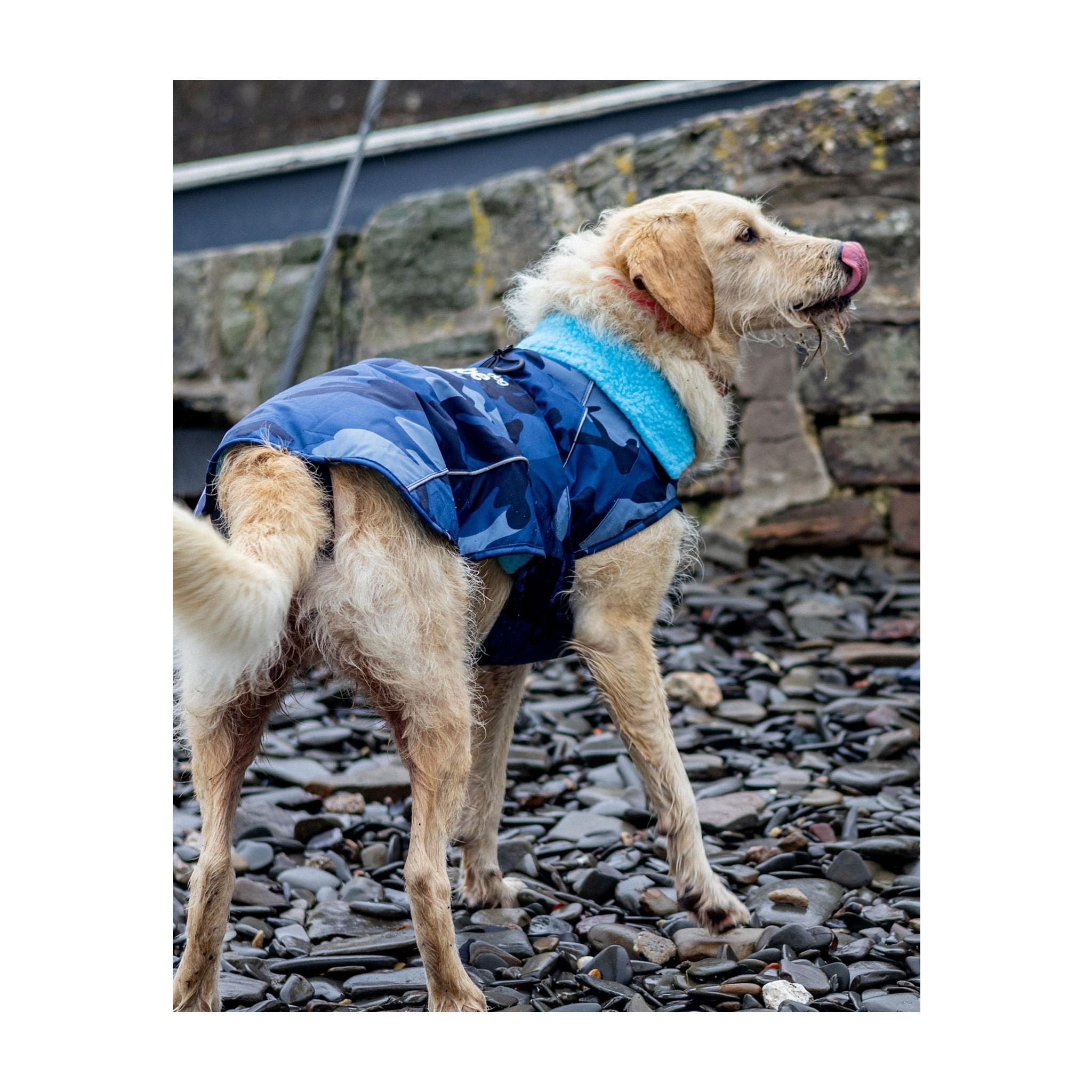 DRYROBE Dog Coat Hundemantel Dogs