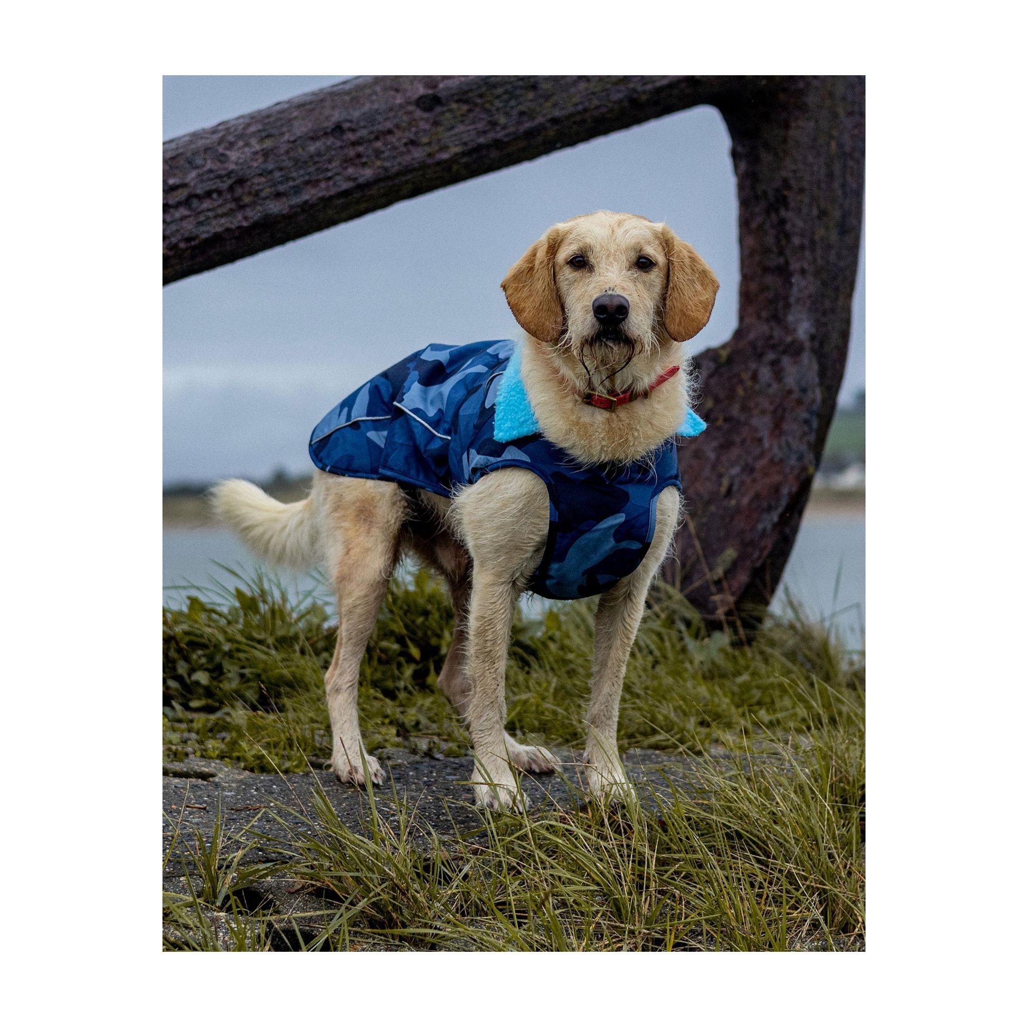 DRYROBE Dog Coat Hundemantel Dogs