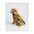 DRYROBE Dog Coat Hundemantel Dogs