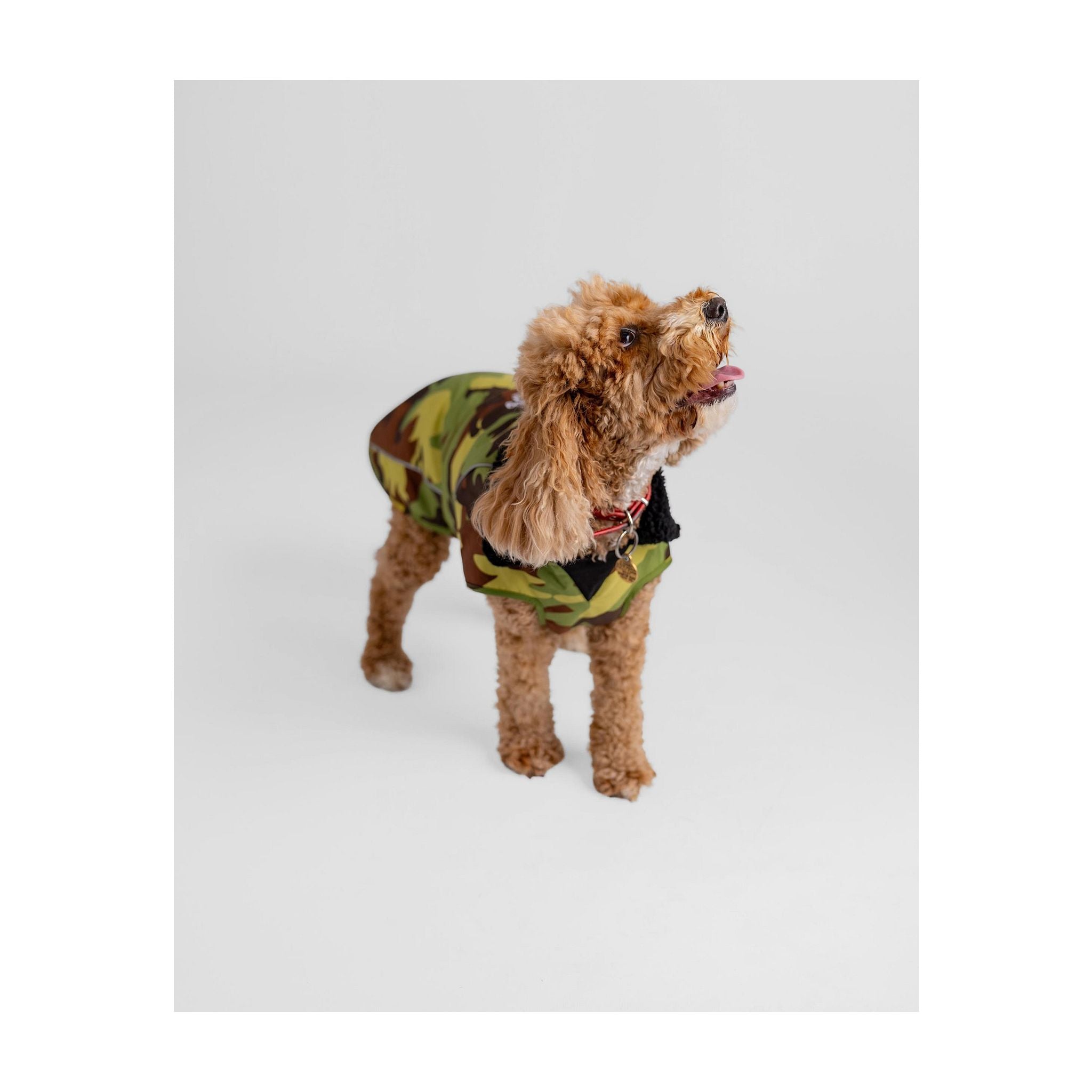 DRYROBE Dog Coat Hundemantel Dogs