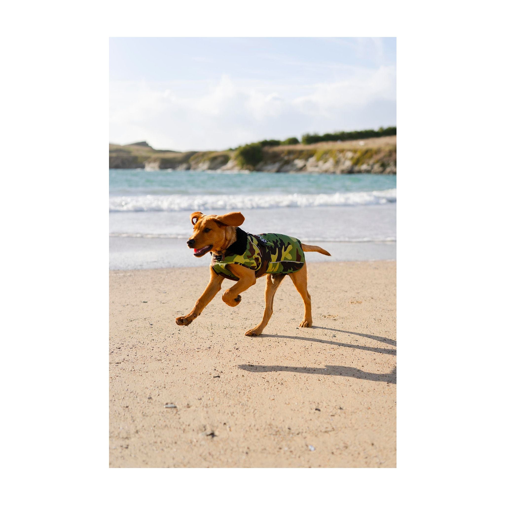 DRYROBE Dog Coat Hundemantel Dogs