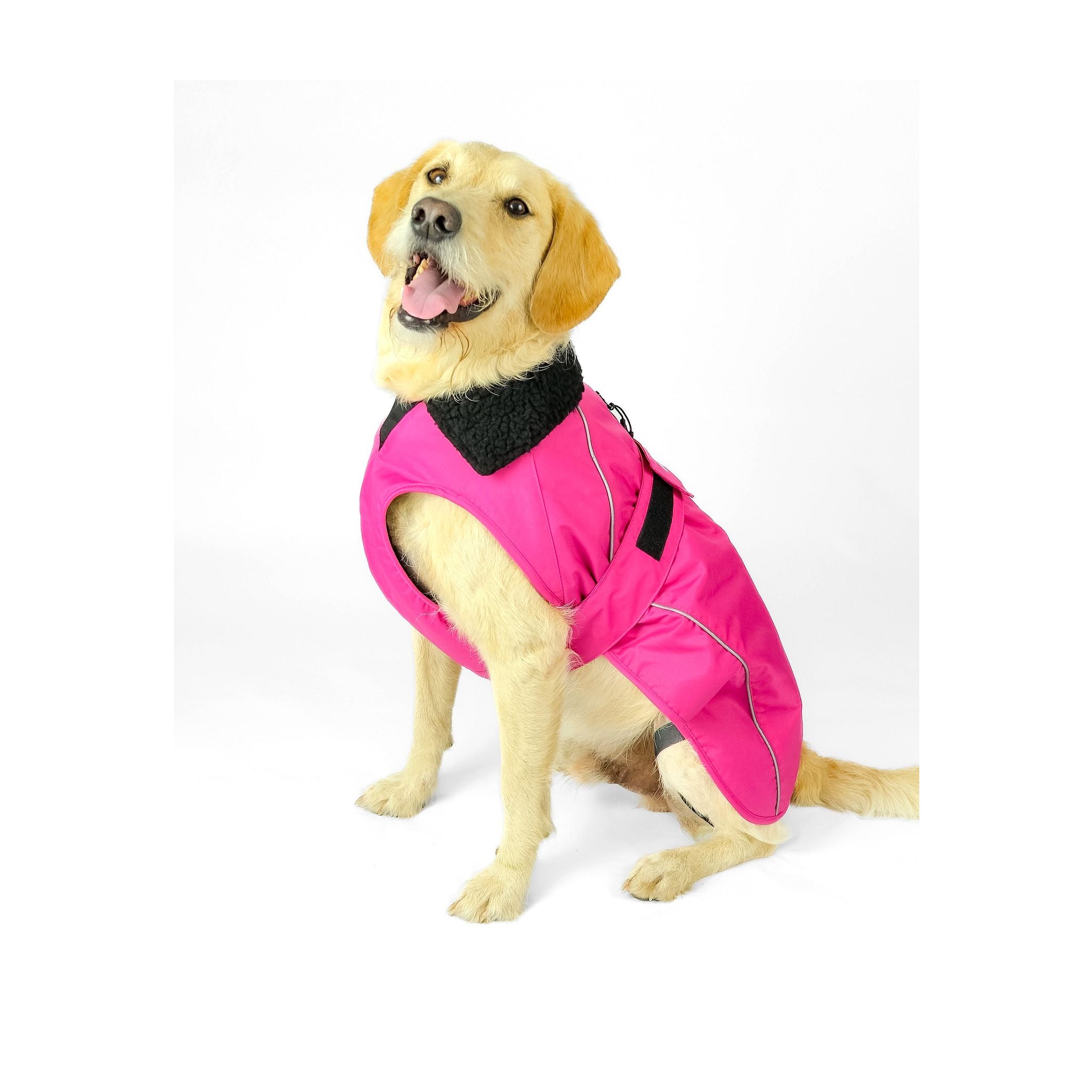 DRYROBE Dog Coat Hundemantel Dogs
