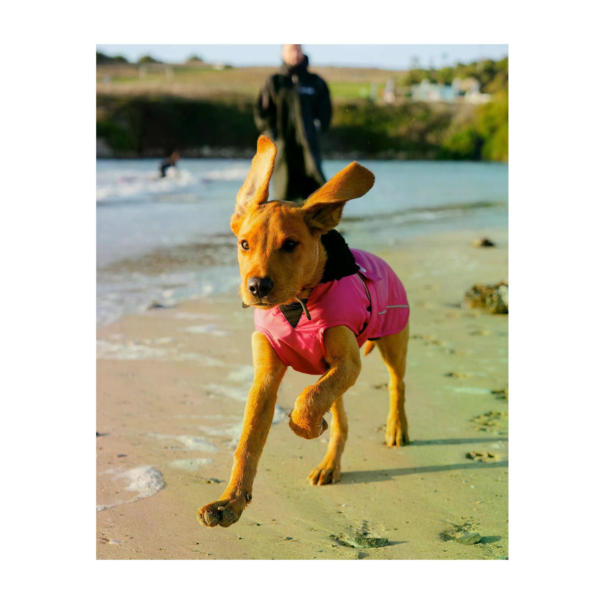 DRYROBE Dog Coat Hundemantel Dogs