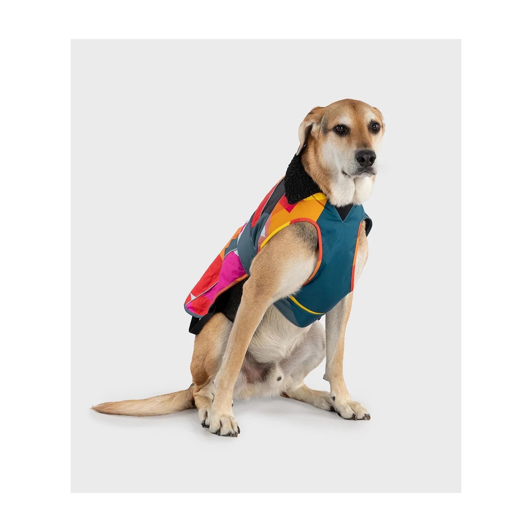 DRYROBE Dog Coat Abstract XXXL Multicolor Dogs