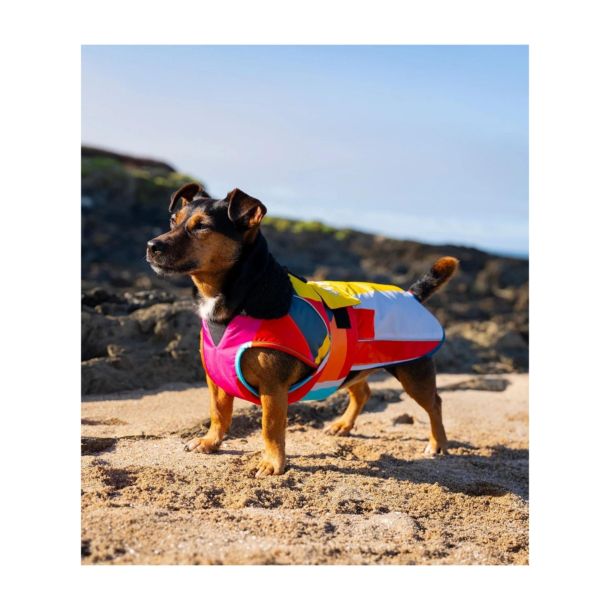 DRYROBE Dog Coat Abstract XXXL Multicolor Dogs