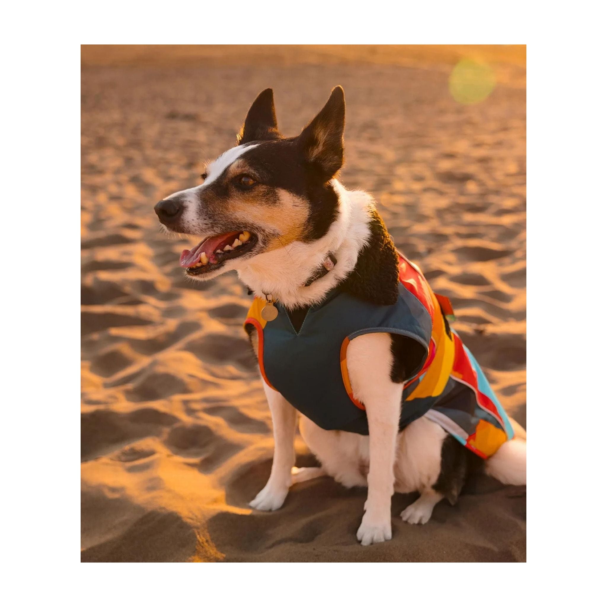 DRYROBE Dog Coat Abstract XXXL Multicolor Dogs