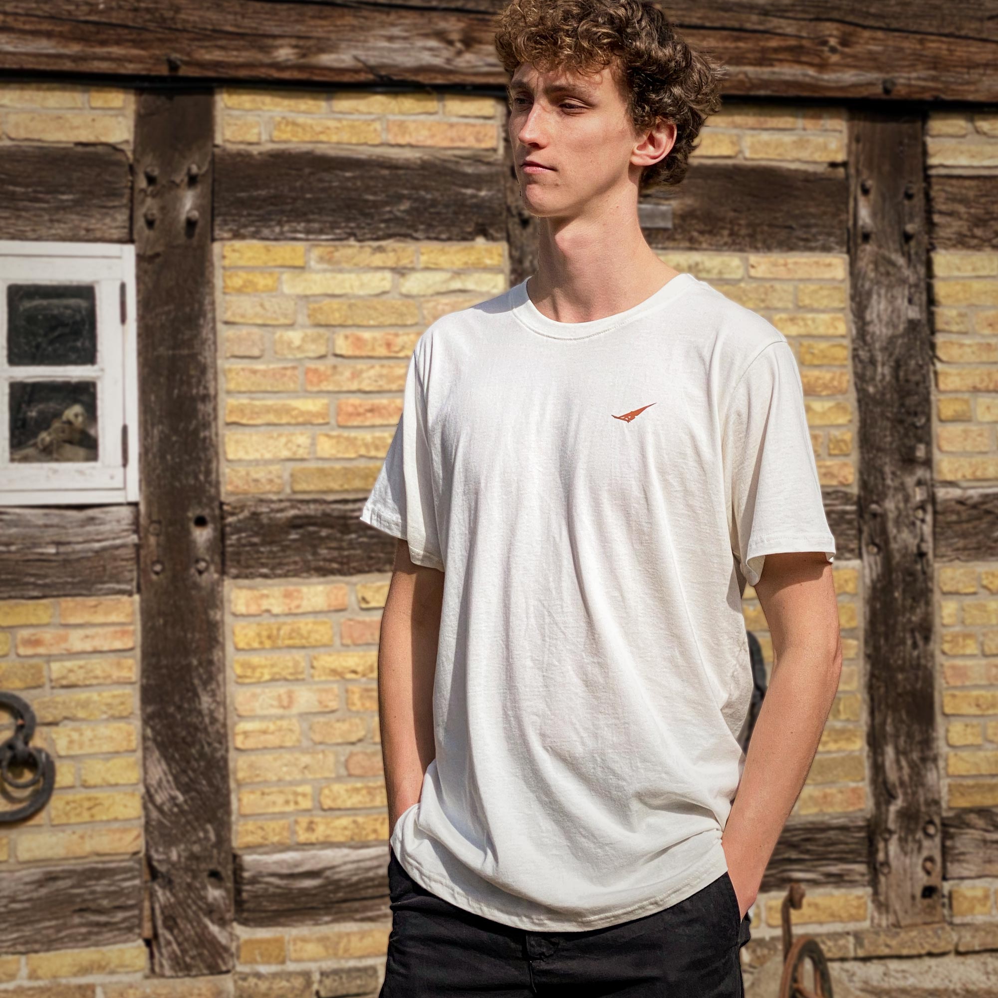 Jibe Wear Wind Lounge Windsurfing Logo T-shirt