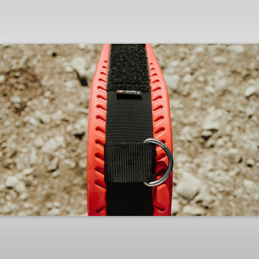 WIP WING BELT 2.0 Wingfoil Harness Forward WIP 