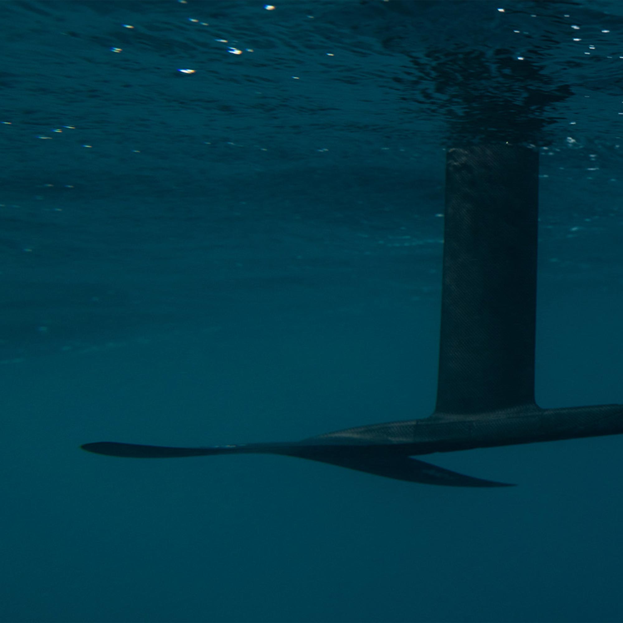 wingfoil wing foiling surffoil prone surf f-one carbon foil plane SK8