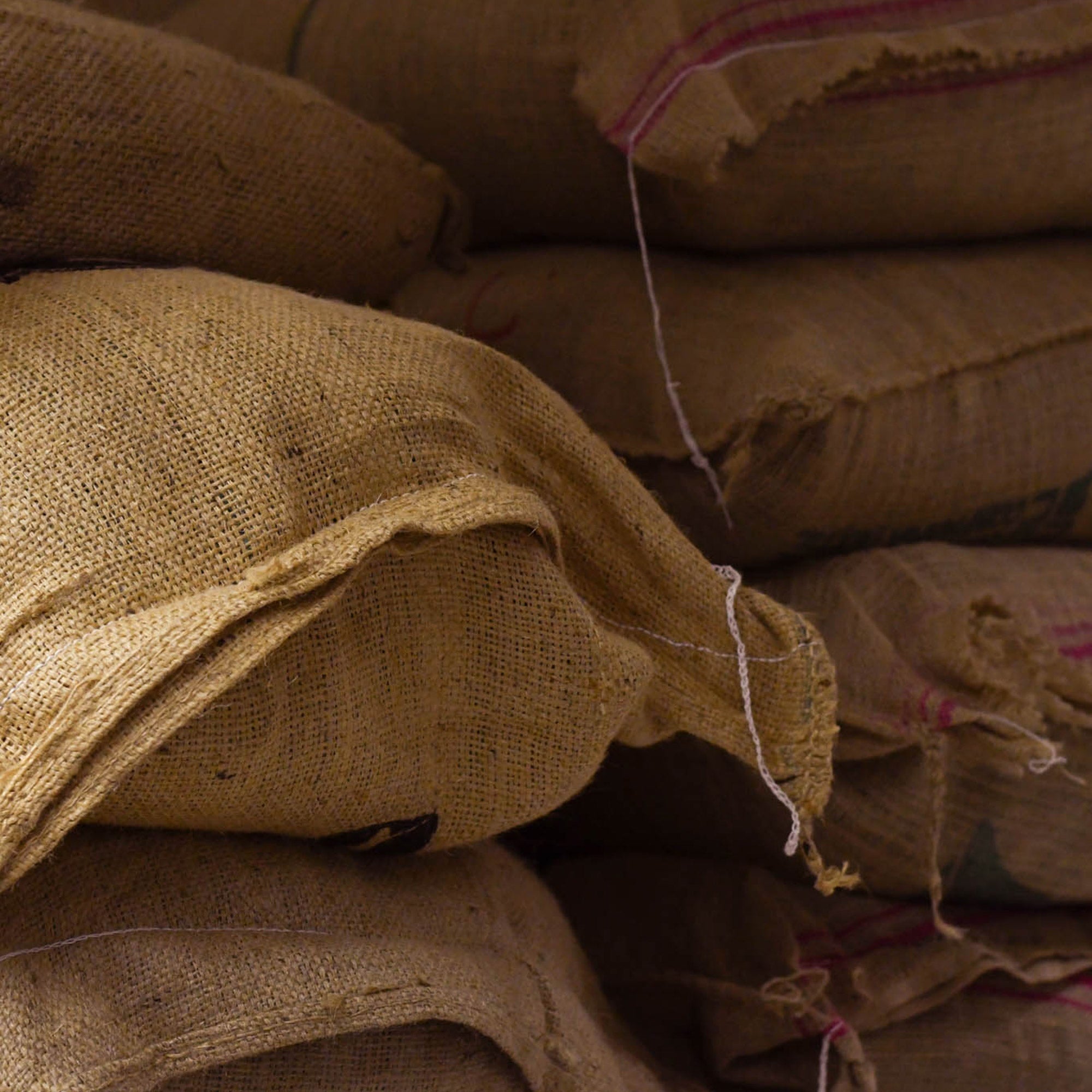 windsurf shop windsurf shop windsurf shop surf shop learn windsurfing Contains Coffee Roasters Windsurf Coffee Coffee