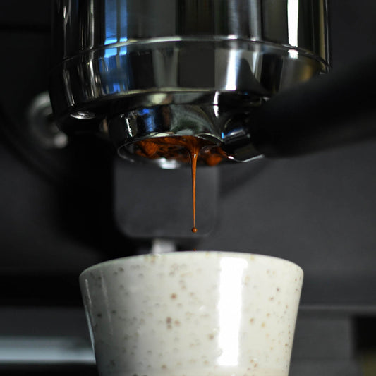 windsurf shop windsurf shop windsurf shop surf shop learn windsurfing Conatins Coffee Roasters Windsurf Coffee Coffee