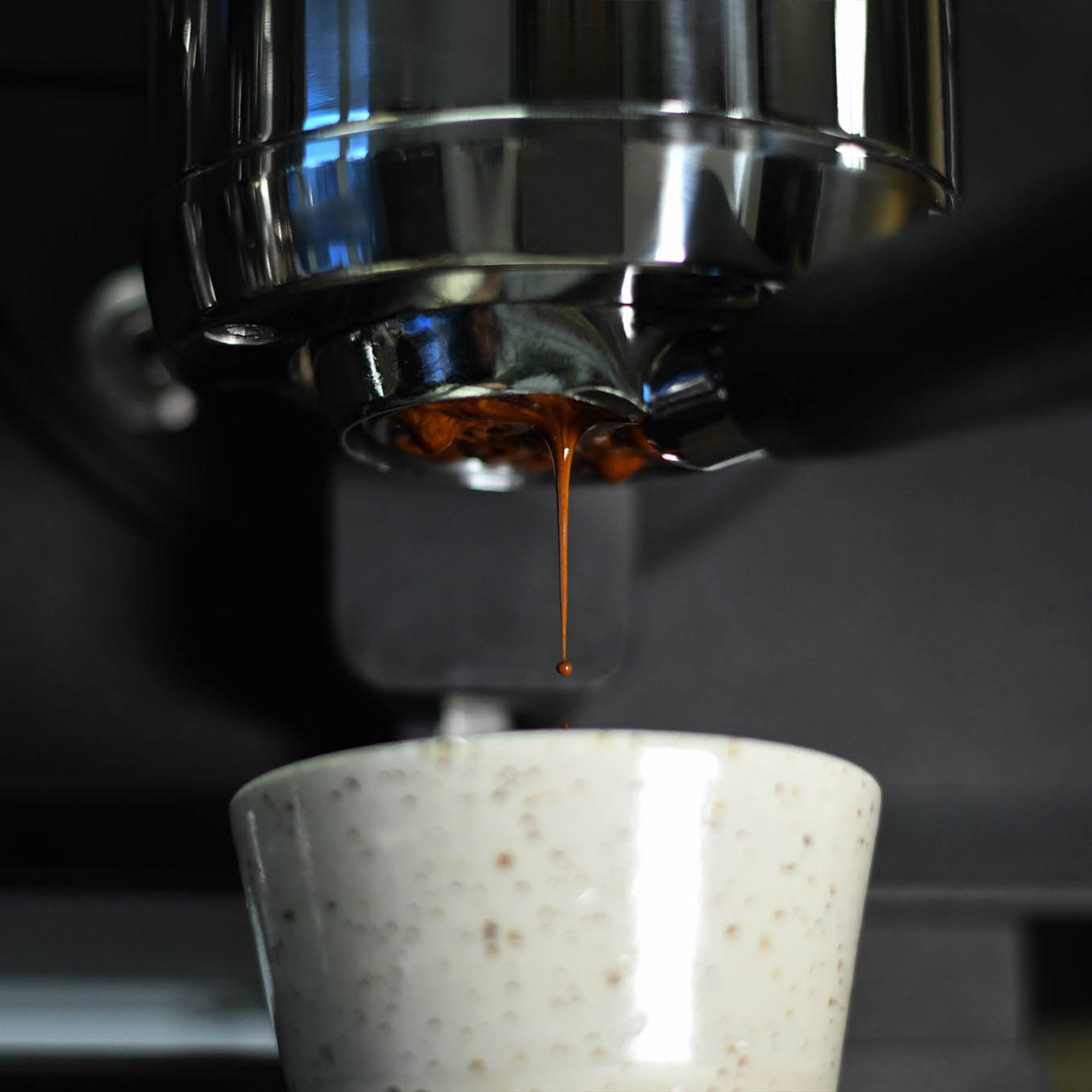 windsurf shop windsurf shop windsurf shop surf shop learn windsurfing Contains Coffee Roasters Windsurf Coffee Coffee