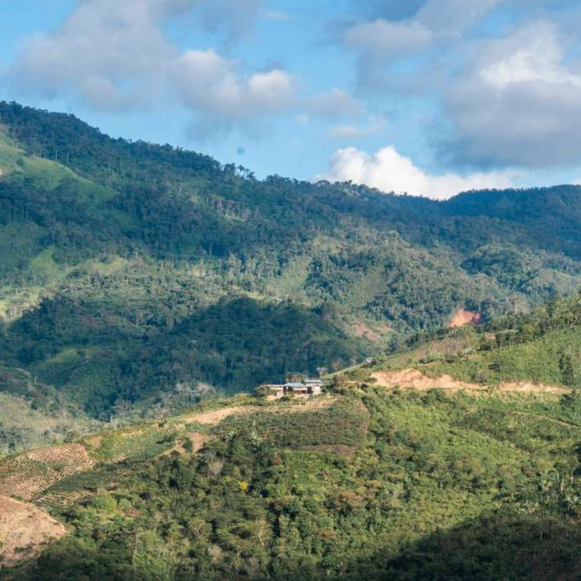 windsurf shop windsurf shop windsurf shop surf shop learn windsurfing Conatins Coffee Roasters Windsurf Coffee Coffee